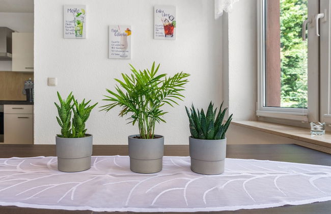 Modern Apartment in Sebnitz With a Terrace in Sebnitz - Foto 57