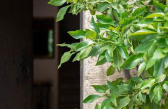 Mas Font- Nature Bike - Foto 50