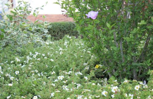 Ferienhaus Däschinger Das Zweiradparadies - Foto 49