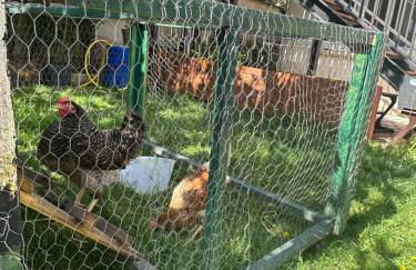 Maison cosy climatisée avec jardin - Foto 17