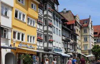 Bio-Ferienwohnung Ellensohn - Foto 8