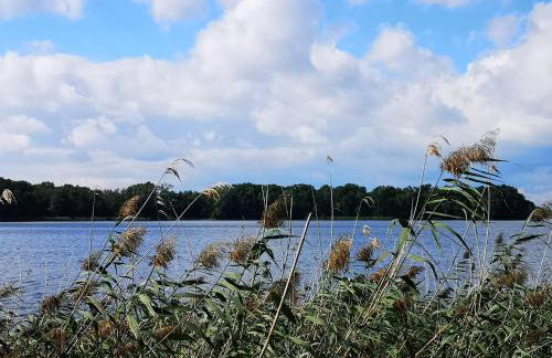 Arboretum Apartments Kórnik - Foto 67