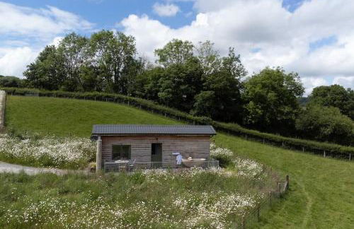 Birch Banc Retreats - Glyn-Haul, New Enc Decking - Foto 16