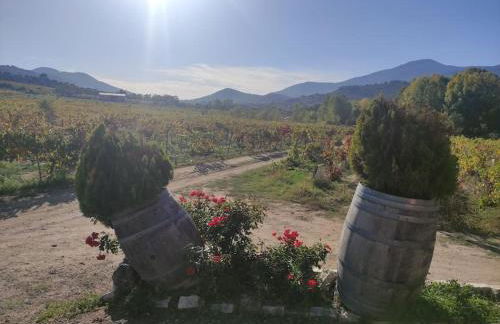 Disfrutando la zona - Photo 10