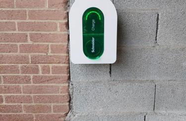 Le rucher de saint florent - Foto 43