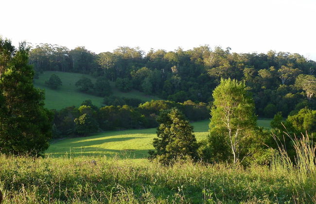 Bellthorpe Stays - Foto 67