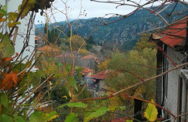 Dandy Villas Agoriani - Chalet Iris- Fireplace - Up to 6 - Foto 29