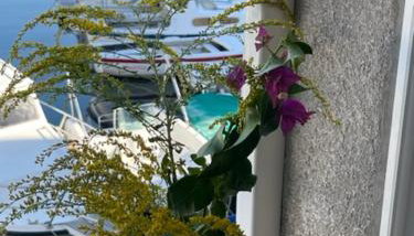 Studio Antonio Cres - Photo 3