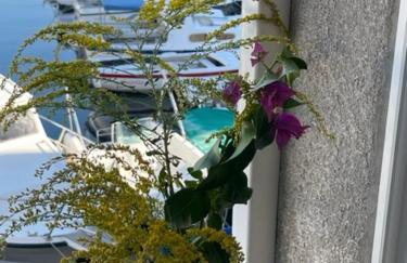 Studio Antonio Cres - Foto 3