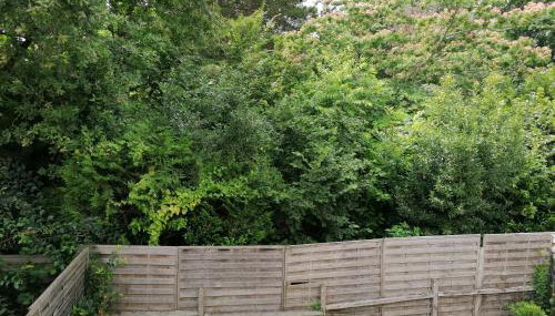 Maison climatisée 3 chambres au coeur des vignobles bordeaux Léognan - Foto 4