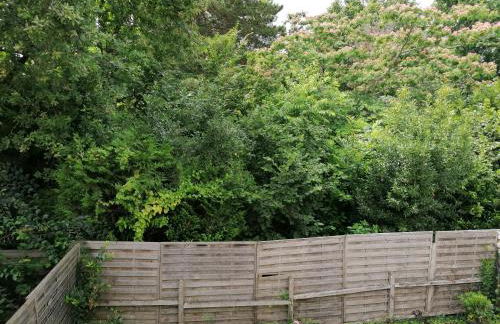 Maison climatisée 3 chambres au coeur des vignobles bordeaux Léognan - Foto 4