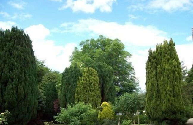 Kingsmills Cottages Cookstown - Foto 40