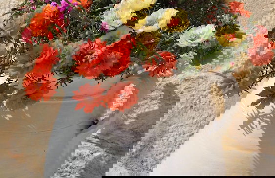 Dépendance in Villa Karmel - Photo 17