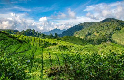 estrella24 LIVING ROOMS Singapur - Foto 36