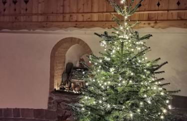 Cà sul dos - Foto 32