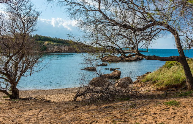 Thea Artemis - Foto 27