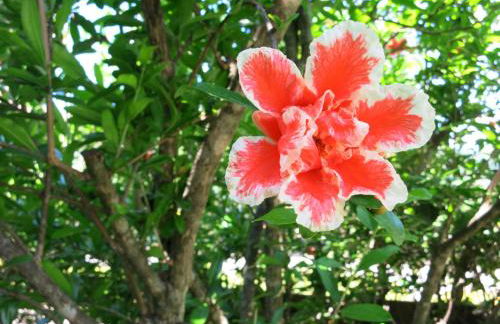 Feldererhof - Foto 18