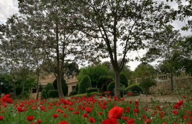 Finca La Celada - Foto 26