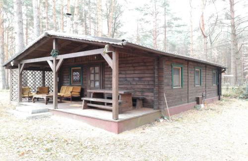 Ferienhaus Waldhütte Ferch - Foto 3