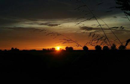 Mulino Delle Valli - Foto 21