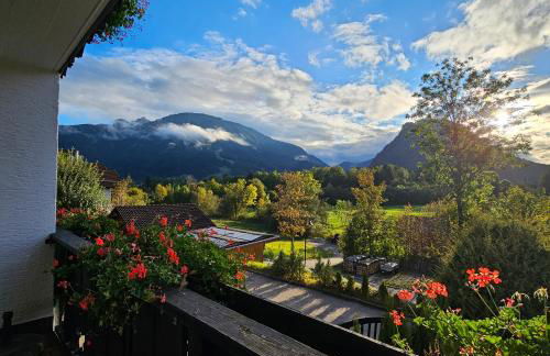 Alpensternchen - Foto 11