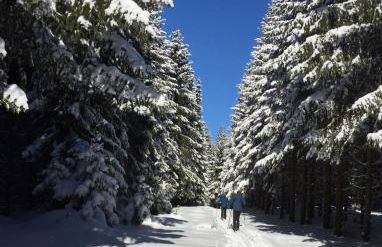 Ferienwohnung Wegespinne - Foto 21