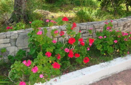 Calamon Apartments - Foto 33