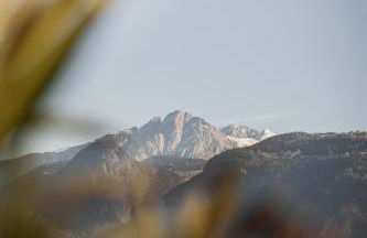 Gruberhof Lana - NEW! - Photo 2