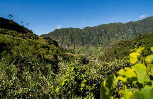 Casas do Lanço by An Island Apart - Foto 107