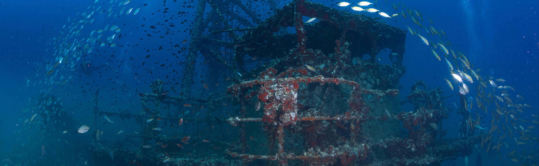 HTMS Chang Shipwreck Scuba Dive - Foto 1