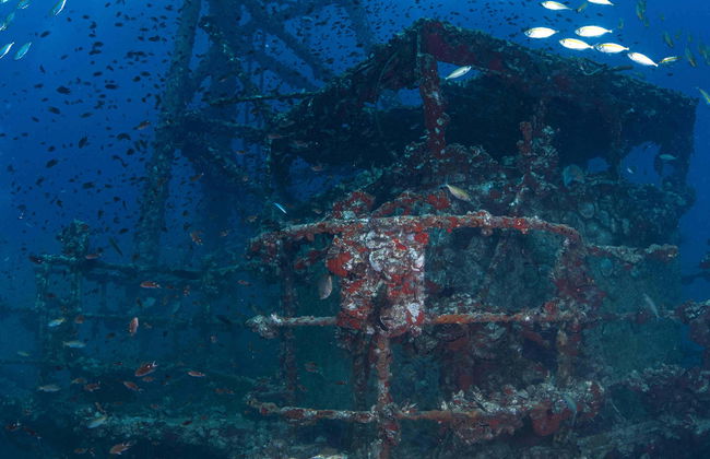 HTMS Chang Shipwreck Scuba Dive - Foto 1