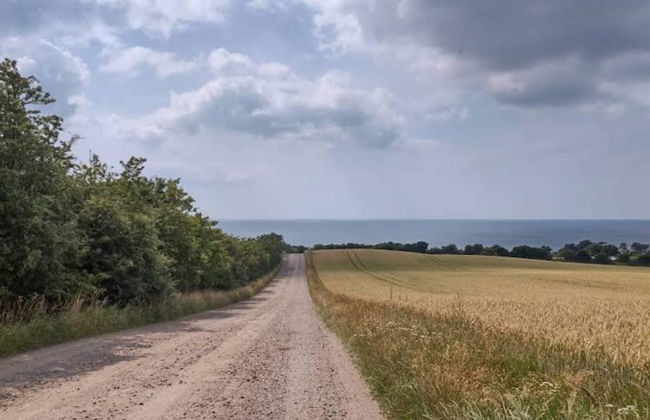 5 Person Holiday Home in Store Fuglede - Foto 12