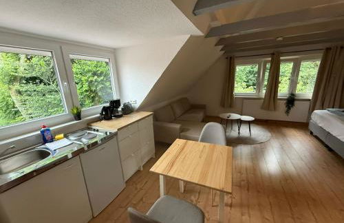 Krähennest am Schloßpark - Foto 10