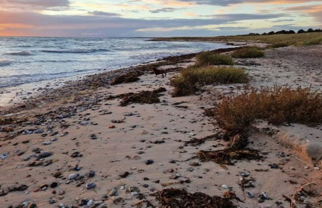 6 Person Holiday Home in Dannemare - Foto 30