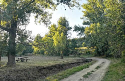 La nueva Escuela - Foto 16