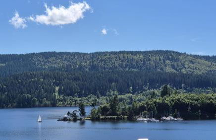 SchwarzwaldNest am See - Foto 19