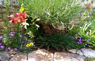 Apartment Marijana - Photo 15