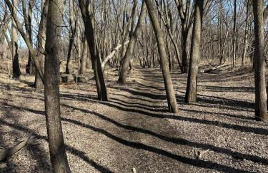 Riverside Retreat - Renovated Home on 15 Acres! - Foto 32