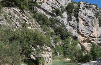 La Terrasse d'Oléa, au coeur du village - Foto 44