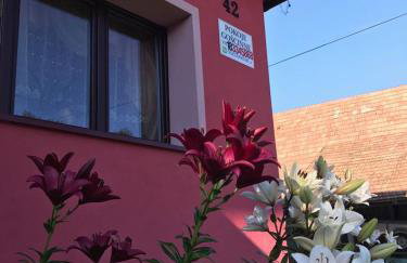 Malinowy Domek - Photo 67