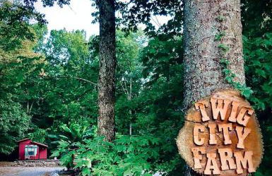 Secluded Watertree Tiny House near Old Hickory Lake – Private Deck, Trails & Breakfast - Foto 9