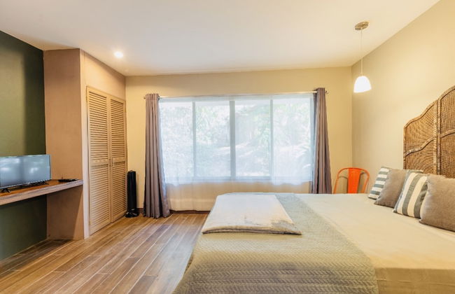 Relaxing Sound of River Birds Squirrels - Foto 4