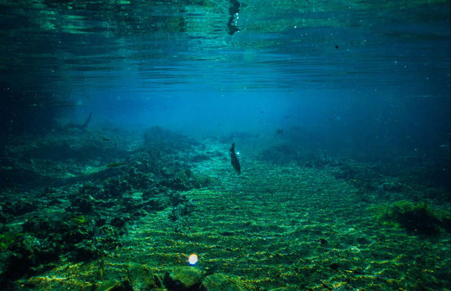 Snorkeling nei fiumi Prata e Olho d'Água - Photo 8