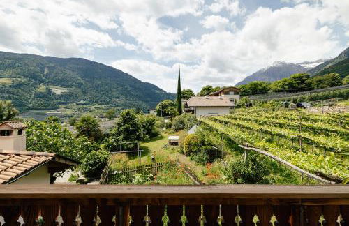 Hofer am Bach - Foto 37