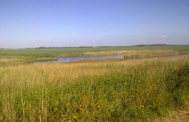 Holiday Home Wissenkerke Near Lake Veere - Foto 22