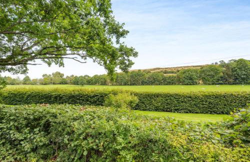 Pultheley Cottage - Photo 25