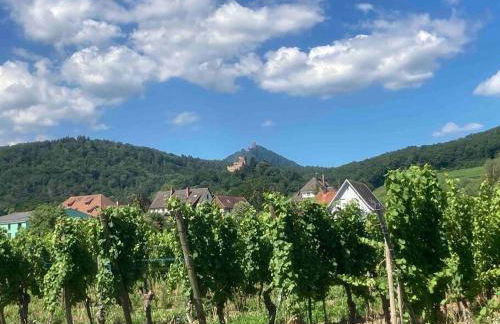 Le Belvédère Alsacien - Foto 41