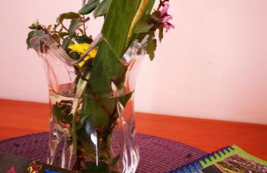 Agroturystyka w Dolinie Narwi - Photo 20