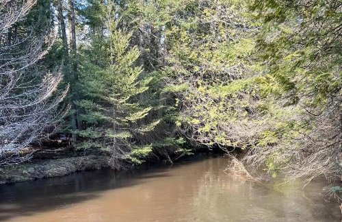 Steps to Sturgeon River! Dog-Friendly Nature Haven - Foto 25