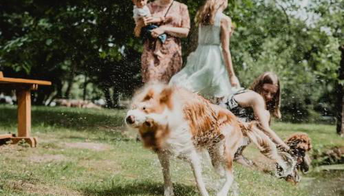 La Regina del Bosco - Foto 3